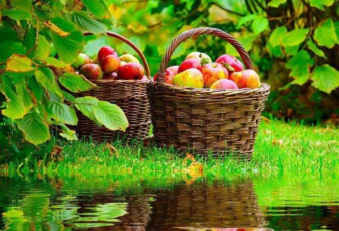 HOROSCOP 6 septembrie 2015