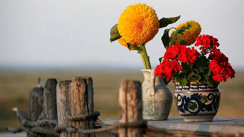 HOROSCOP 4 septembrie 2015