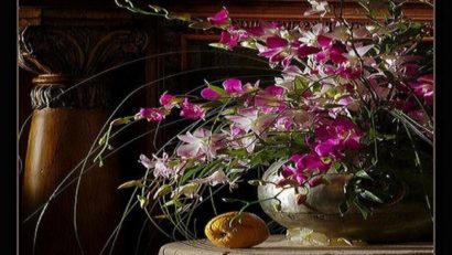 HOROSCOP 27 septembrie 2015