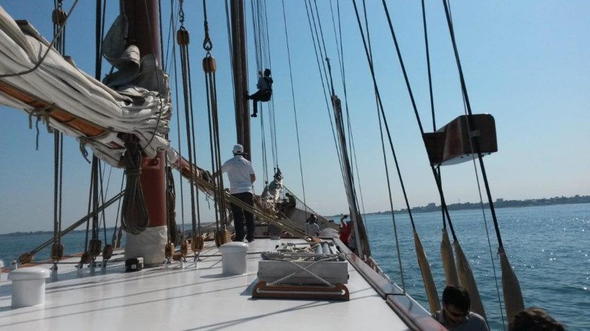 Campania „Iubește Marea”, la final