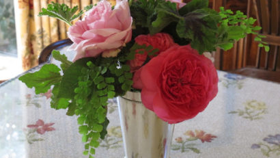 HOROSCOP 26 septembrie 2015