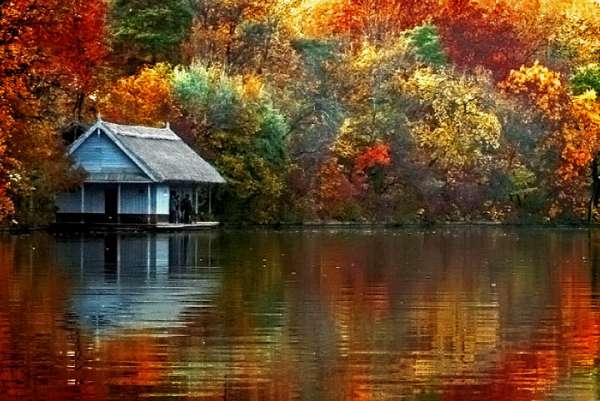 HOROSCOP 19 septembrie 2015