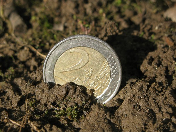 AUDIO: Bani pentru agricultori, în condiţiile unui an dificil