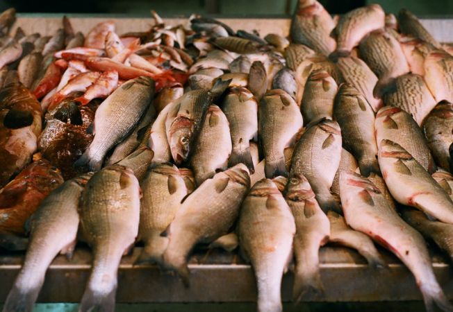 Bursa de peşte de la Tulcea ar putea să funcţioneze peste câteva luni