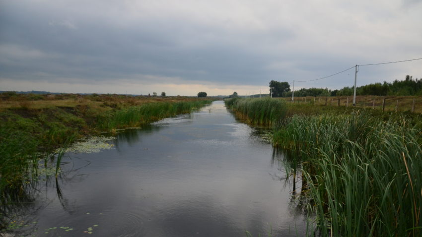 (VIDEO) Satul tradiţional la Carasuhat, în Delta Dunării