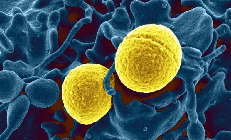 Noi speranţe pentru bolnavii de cancer