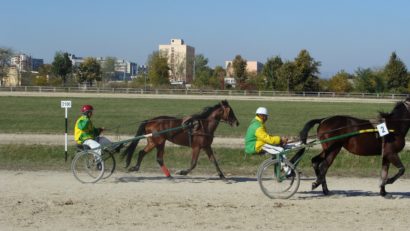 Curse de trap şi galop pe Hipodromul de la Mangalia