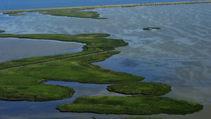 Unul dintre cei mai cunoscuţi biologi şi oceanografi francezi, profesorul Gilles Boeuf, va vizita săptămâna viitoare Constanţa şi Delta Dunării