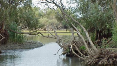 Rezervaţia transfrontalieră Delta Dunării România-Ucraina
