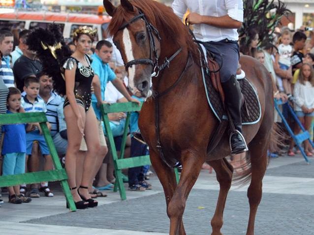 Curse de trap şi galop la Hipodromul Mangalia