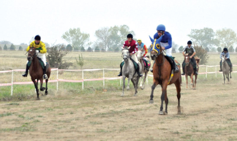 „Gala sporturilor călare” la Hipodromul Mangalia
