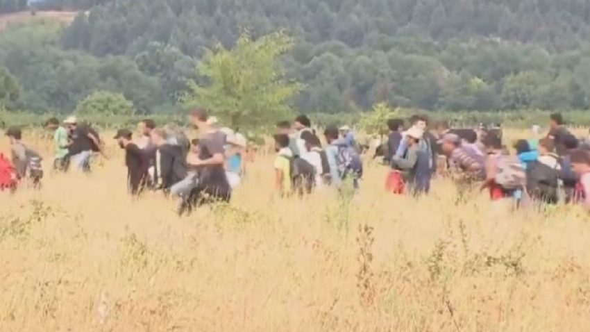 Aplicaţie gratuită de smartphone pentru imigranţii rătăciţi prin Balcani