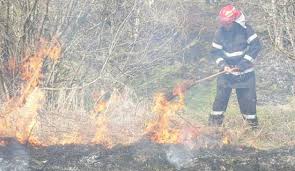 Incendiu lângă Cimitirul turcesc din Hârşova