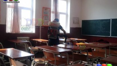 Liceu din Techirghiol, invadat de purici