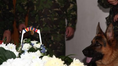 Max, câinele-erou al Armatei Române, îngropat cu onoruri militare