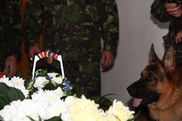 Max, câinele-erou al Armatei Române, îngropat cu onoruri militare
