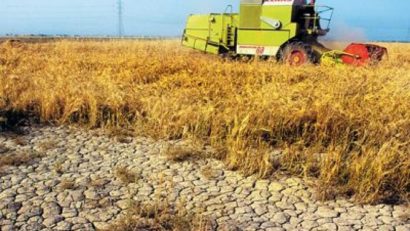 CE va acorda 3 milioane de euro României pentru fermierii afectaţi de secetă