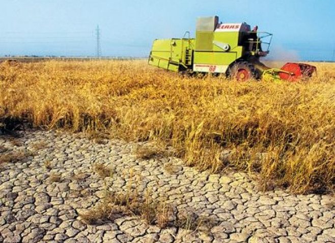 CE va acorda 3 milioane de euro României pentru fermierii afectaţi de secetă