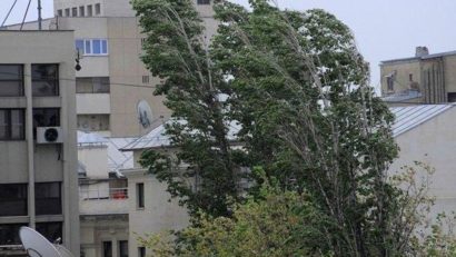 COD GALBEN de vânt puternic în Dobrogea