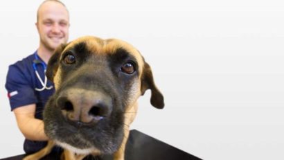 Un nou succes al Sănătăţii: oamenii merg, mai nou, la veterinar