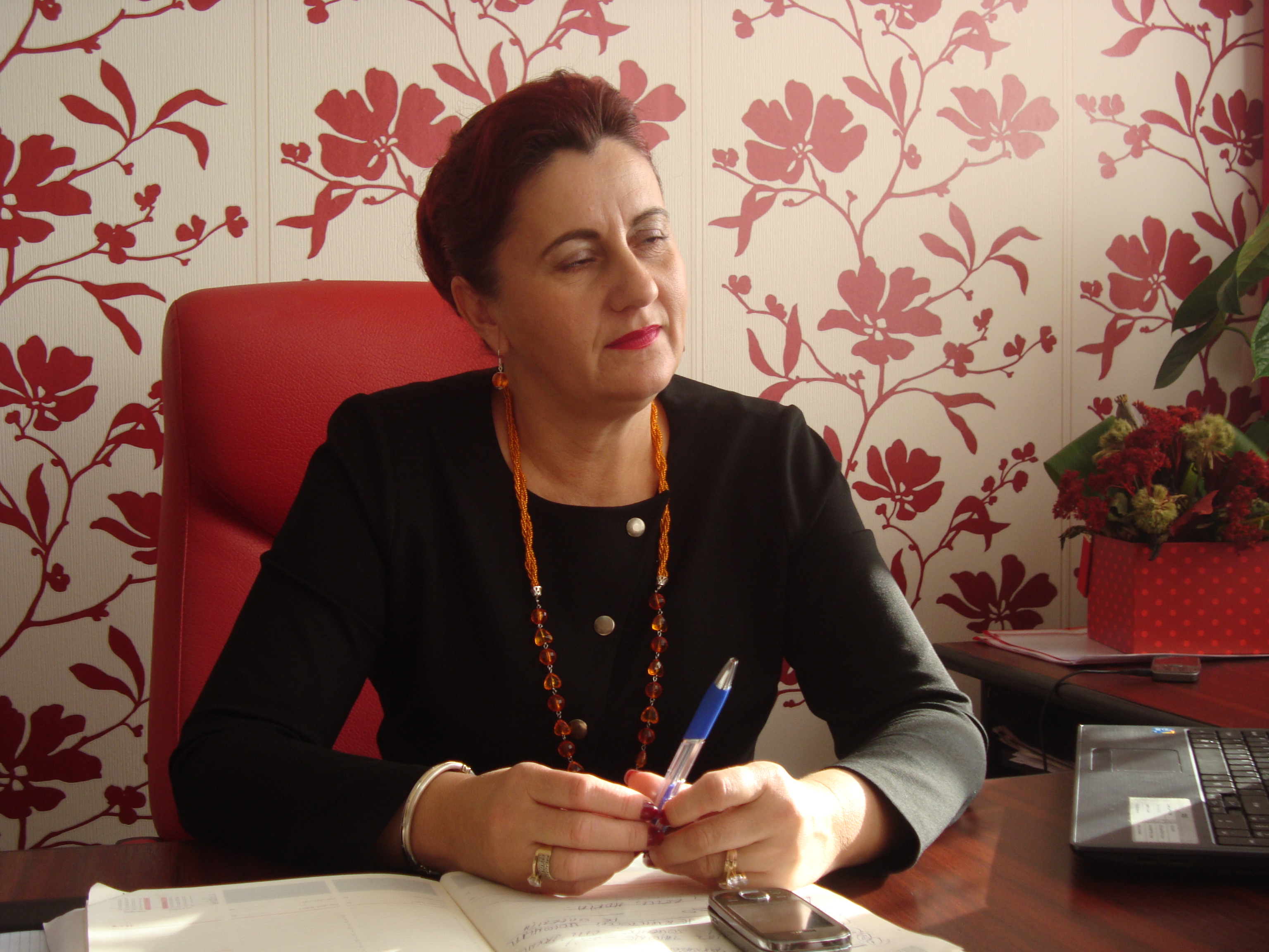 (AUDIO) La Saraiu se pregătește taxa de habitat