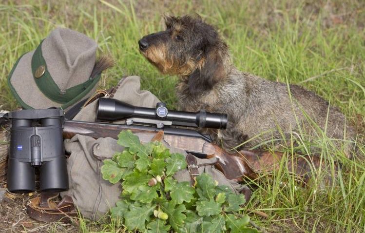 La vânătoare cu armă semiautomată