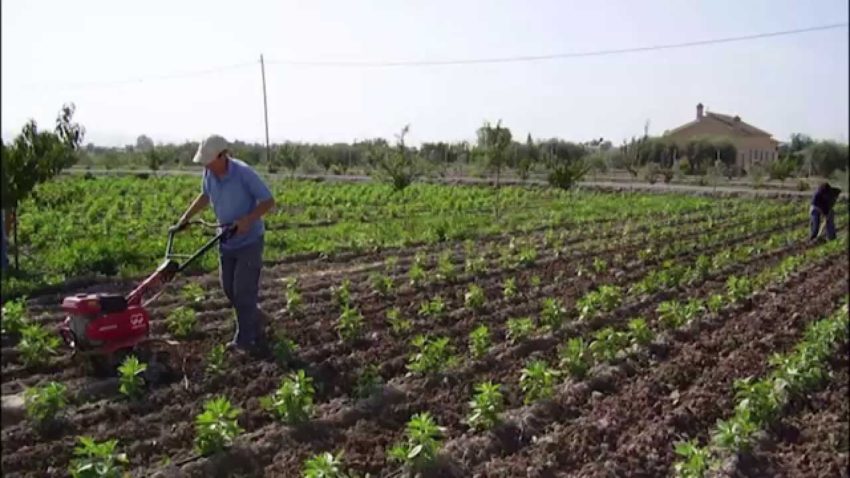 Agricultura ecologică poate oferi o producţie cu 30 la sută mai mare