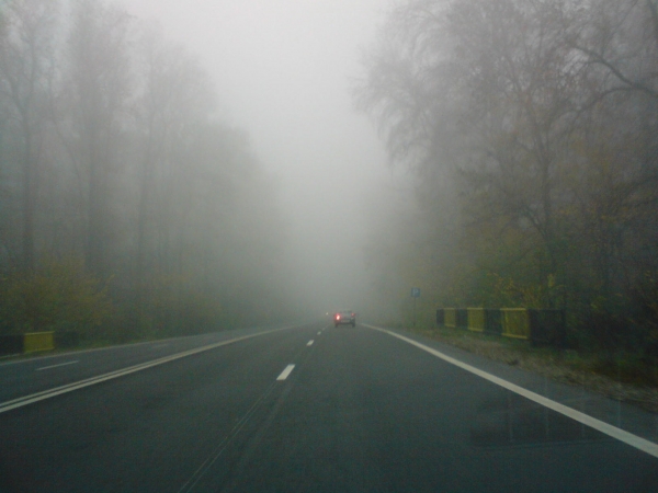 COD GALBEN de ceaţă în judeţul Tulcea