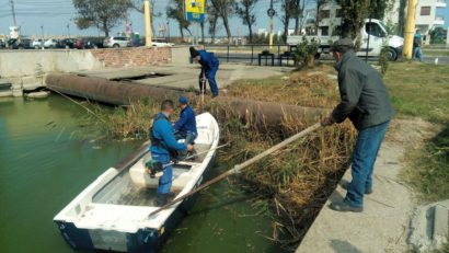 Curăţenie generală pe lacul Tăbăcărie