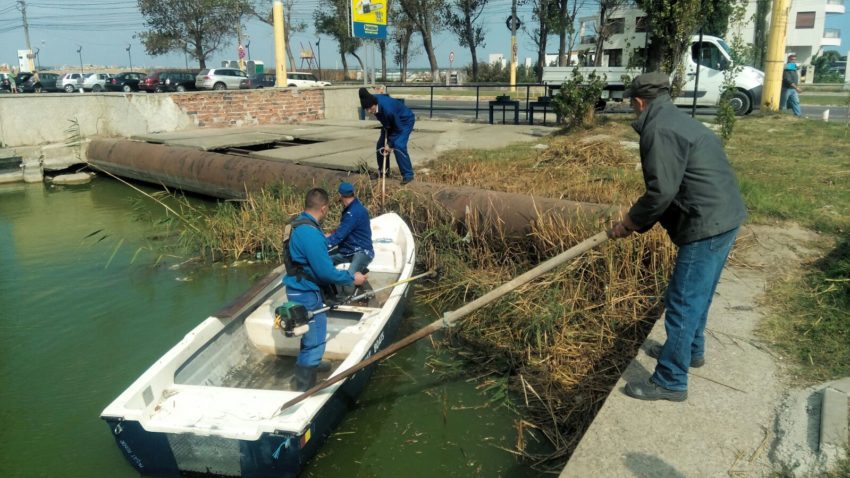 Curăţenie generală pe lacul Tăbăcărie