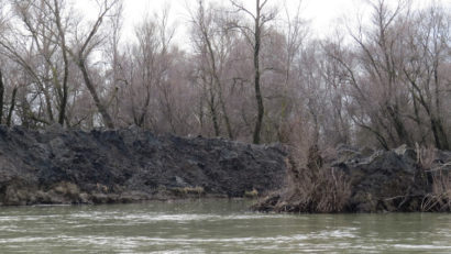 Transport naval zilnic în Delta Dunării. Se face sau nu se face?