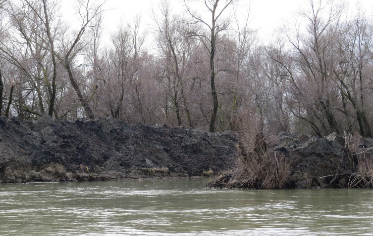 Transport naval zilnic în Delta Dunării. Se face sau nu se face?