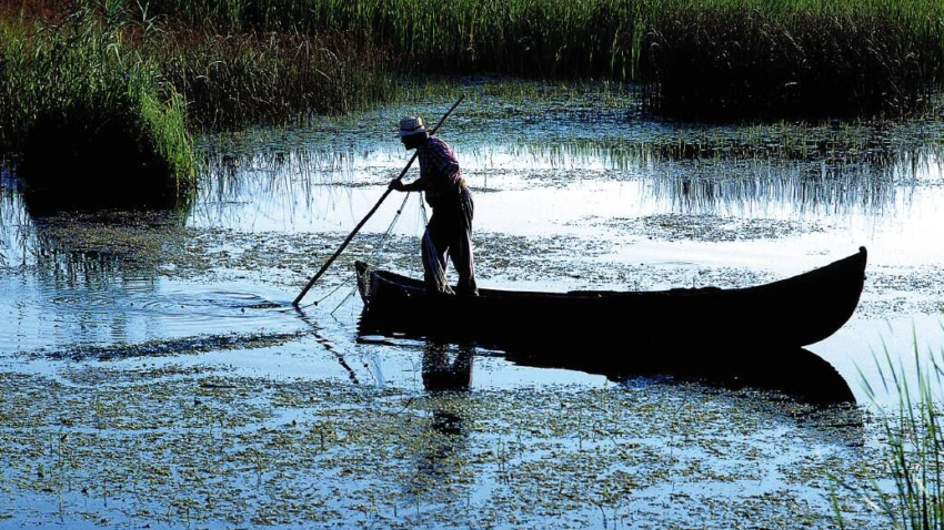 Prohibiţia la pescuitul cu năvod, prelungită în Delta Dunării