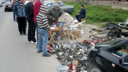Bişniţă în floare în Oborul din Constanţa