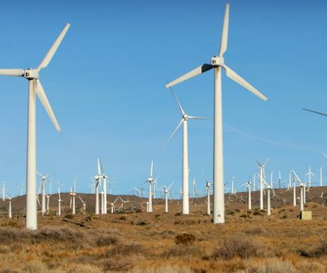 OMV Petrom vinde parcul eolian de la Dorobanţu