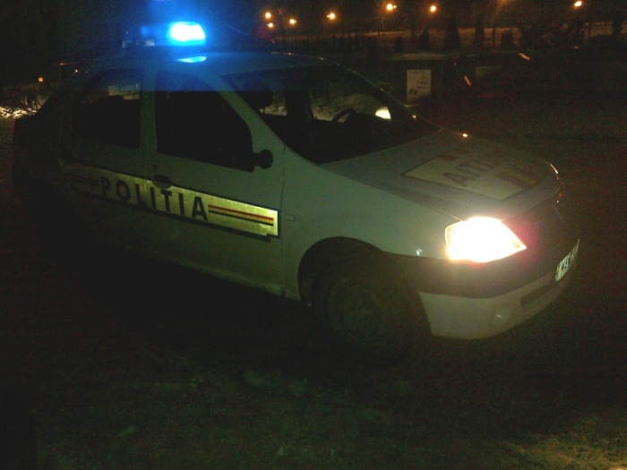 Şofer fără permis, prins cu lemnele furate … în maşină