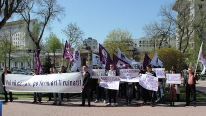 Legumicultorii nemulţumiţi de politica Ministerului Agriculturii