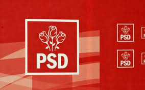 Liviu Dragnea, votat de 97 la sută dintre membrii PSD