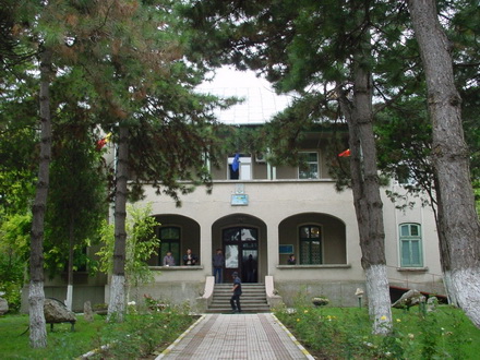 Aleşii locali din Techirghiol îşi desemnează şeful interimar