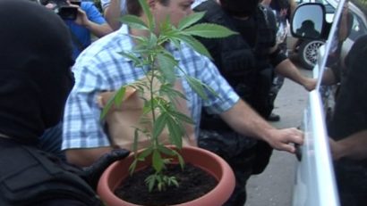 Traficanţi de droguri de risc și mare risc, prinşi de poliţişti