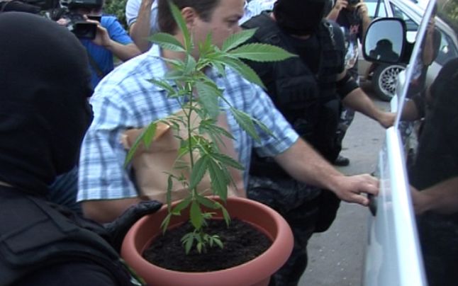 Traficanţi de droguri de risc și mare risc, prinşi de poliţişti