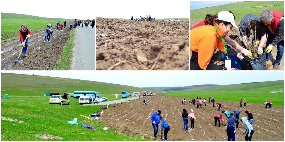 „Plantăm fapte bune” – 10.000 puieţi de copaci plantați la Peştera