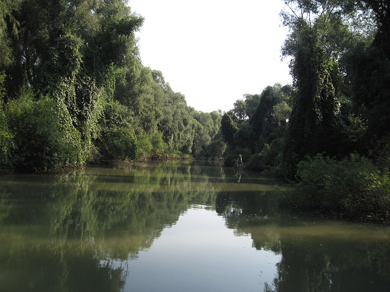 Condiţiile de navigaţie în Delta Dunării se îmbunătăţesc