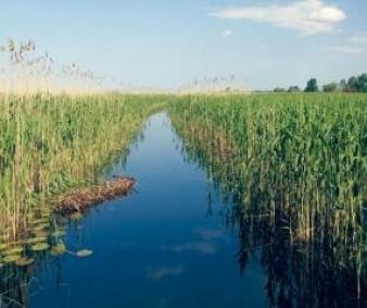GHID de exploatare a resurselor din Delta Dunării