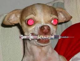 Criză de vaccin antirabic