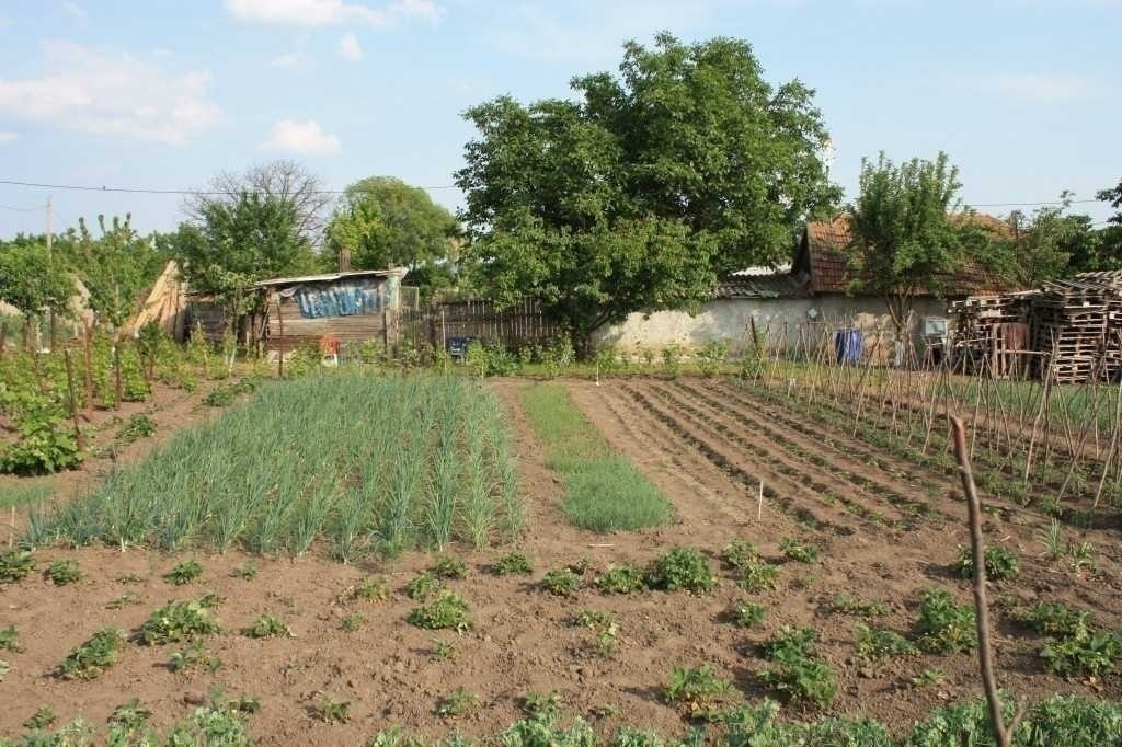 Cele mai multe gospodării agricole din UE, în România
