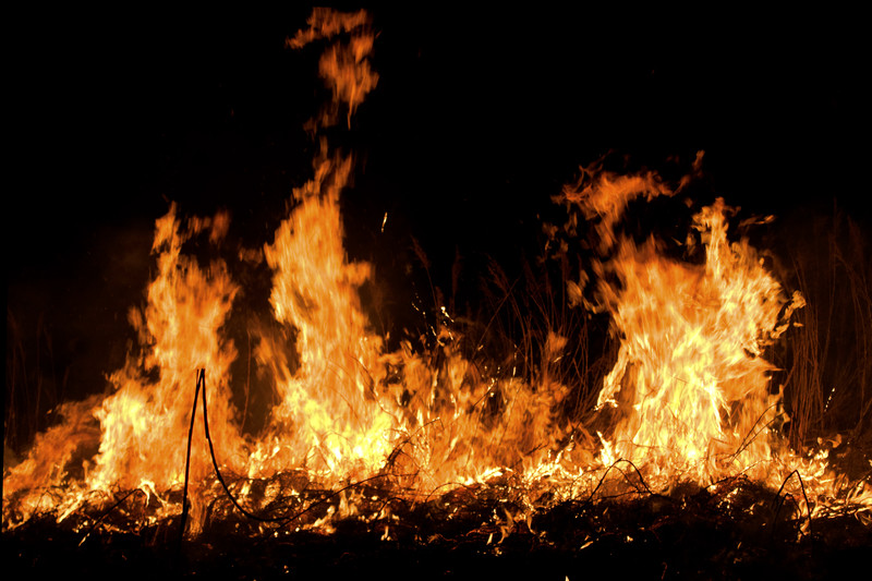Incendiu de proporţii în rezervaţia naturală Grindu Lupilor