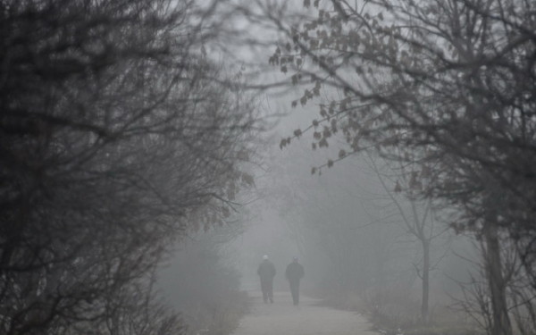 Vreme rece, dominată de burniţă şi ceaţă