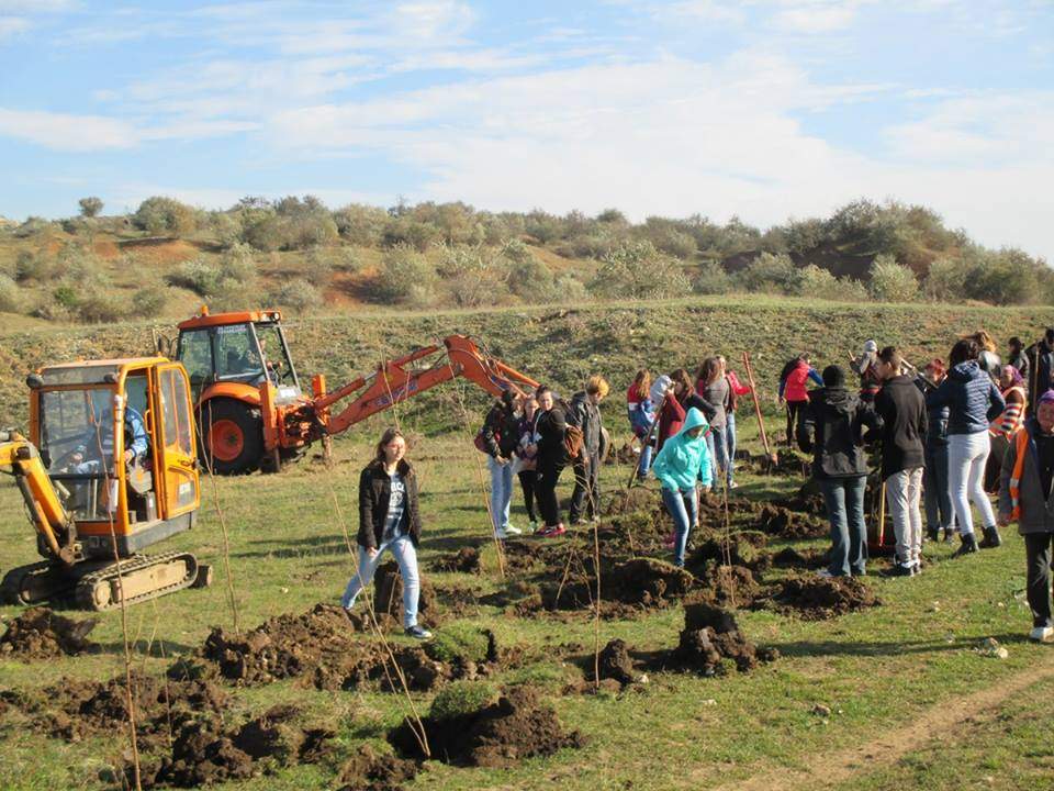 Fapte bune la Cumpăna. Copiii au plantat o mie de copăcei