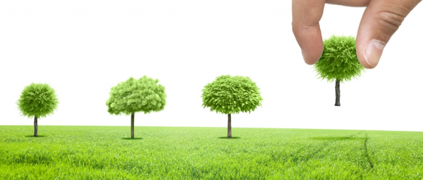 CONSTANȚA: 100 de arbori vor fi plantați mâine, în Parcul Tăbăcărie, cu sprijinul voluntarilor „Constanța restart“